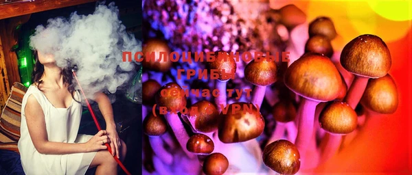 дмт Балахна
