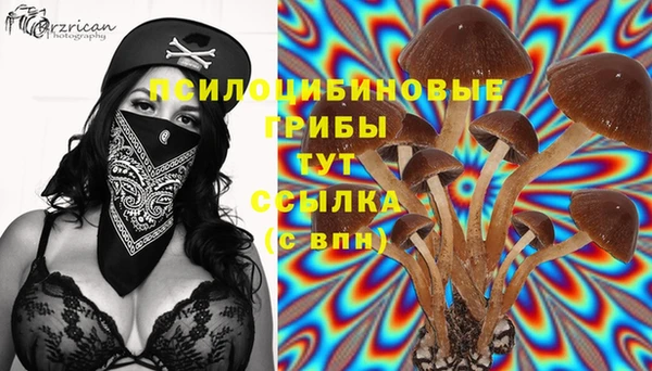 дмт Балахна